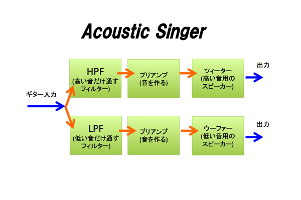 Acoustic Singer 14