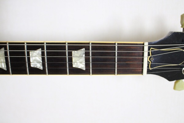Guitar 9